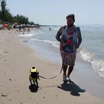 David Nicolaas Bezanson - @dankpugs - Instagram