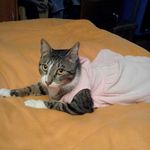 David Bibi - @davidbibi56 - Instagram
