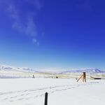 David bickerstaff - @davidbickerstaff2 - Instagram