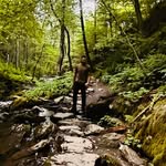David Bickford - @d.b.i.c.k - Instagram