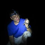 David Bickford - @rokrokbickford - Instagram