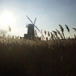 David Bidwell - @david.bidwell.167 - Instagram