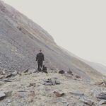 David Bigaev - @bigaevdavid - Instagram