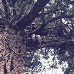 David Bigelow - @daviecrocket_ - Instagram