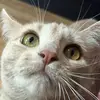 David Bigler - @davidmbigler - TikTok