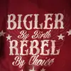 david bigler - @david.bigler - TikTok