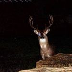 David Billington - @davidjbdave - Instagram