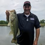 David Billman - @david.billman - Instagram