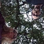 David Birge - @defiance55 - Instagram