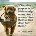 David Birgen - Facebook
