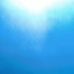David Birgen - Facebook