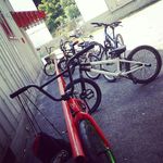 david bitner - @davidbitnet - Instagram