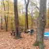 davidbitner729 - @davidbitner729 - TikTok