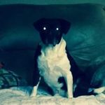 David Blank - @blank1930 - Instagram