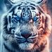 David Blas - Facebook