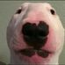 David Blattner - Facebook