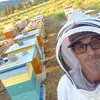 David blum - @blumbees - TikTok