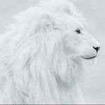 David Kwesi Boafo - @davidkwesiboafo - Instagram