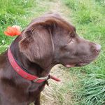 David Boal - @boalsterdad - Instagram