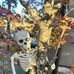 Boner D. Bones - Facebook