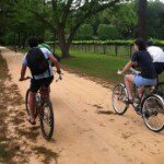David Boaz - @drboaz - Instagram