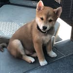 Bobbie David - @xbobbiedavid - Instagram
