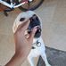 David Bobe - Facebook