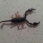 David Bobichon - @davidbobichon - Instagram