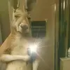 davidbocanegra - @davidb0ca61 - TikTok