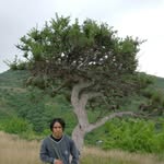 Gena David Bocardo - @gena.david1 - Instagram