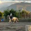 Davide Boccia - @davide.boccia8 - TikTok