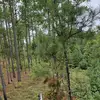 DaveBo5685 - @davidbochenek08 - TikTok