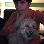 David Mark Bochniak - @davidmarkbochniak - Instagram