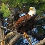 David Bockoven - @davidbockoven - Instagram