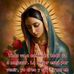 David Baez - Facebook