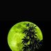 Elh David Baez - Facebook