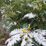 David Bodman - @david_bodman - Instagram