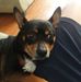 David Boeing - Facebook