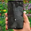 davidboen725 - @davidboen725 - TikTok