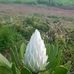 David Boer - Facebook