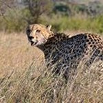David Boes - @otterjumper - Instagram