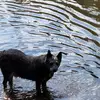 Dave Boettner - @dave.boettner - TikTok