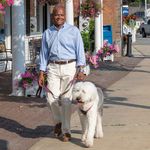 David Bogan Town Council - @bogantowncouncil - Instagram