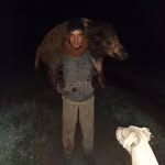 David Bohn - @d_bohn - Instagram