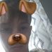 David Boileau - Facebook
