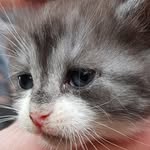David Böker - @polly07770 - Instagram