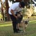 David Bolanos - Facebook
