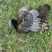 David Bolyard - Facebook