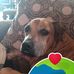 David Bomgardner - Facebook