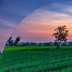 David Bompart - @david.bompart - Instagram